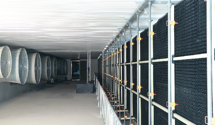 未标题-1_画板 1 副本 4.jpg