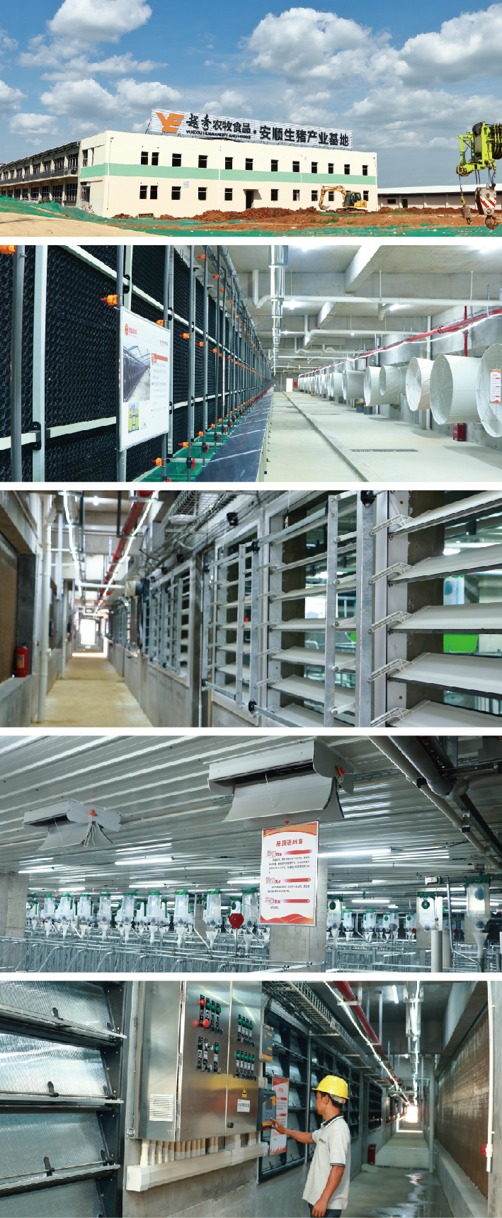 未标题-1_画板 1_画板 1.jpg