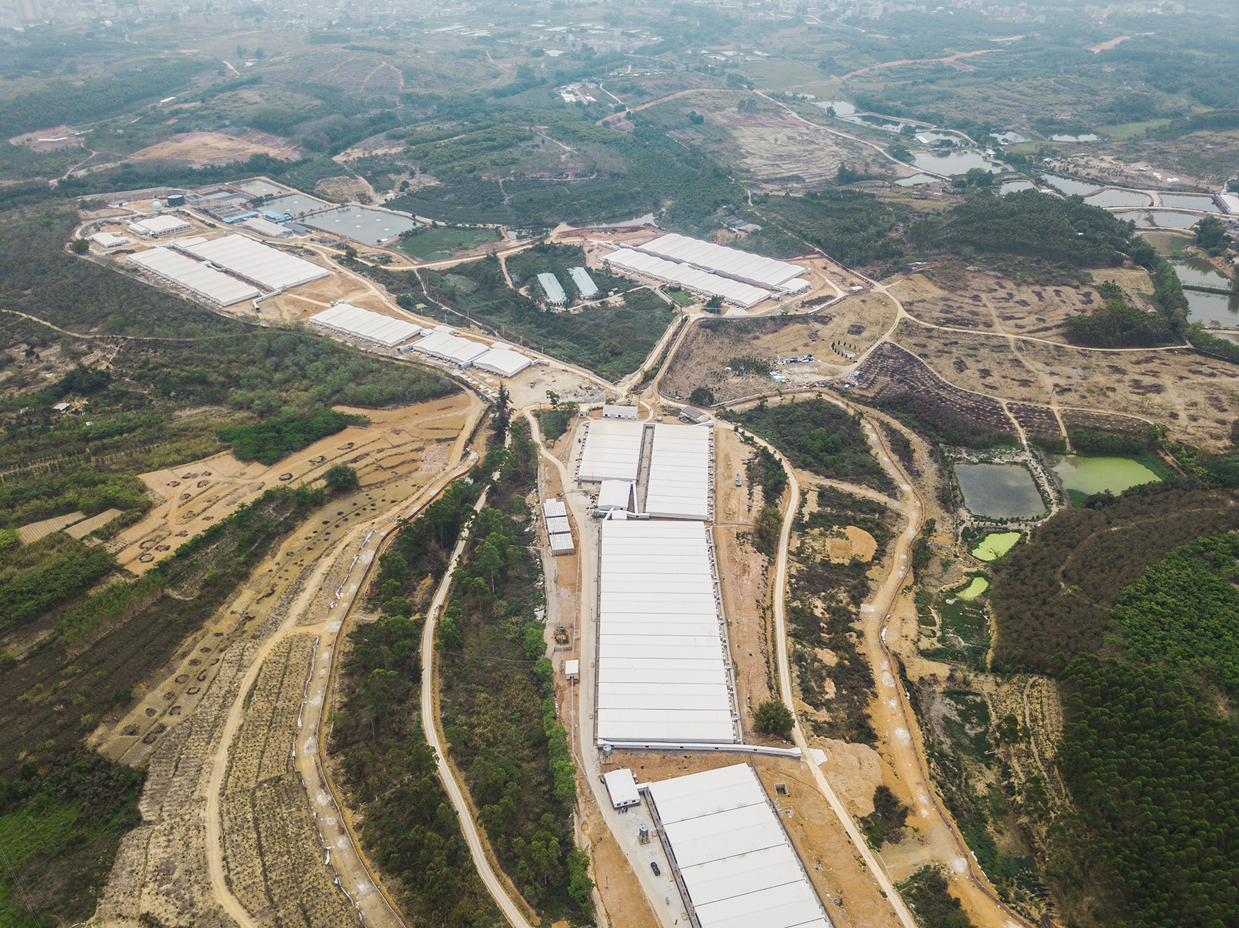 Guangdong jieyang wens jingou pig farm project