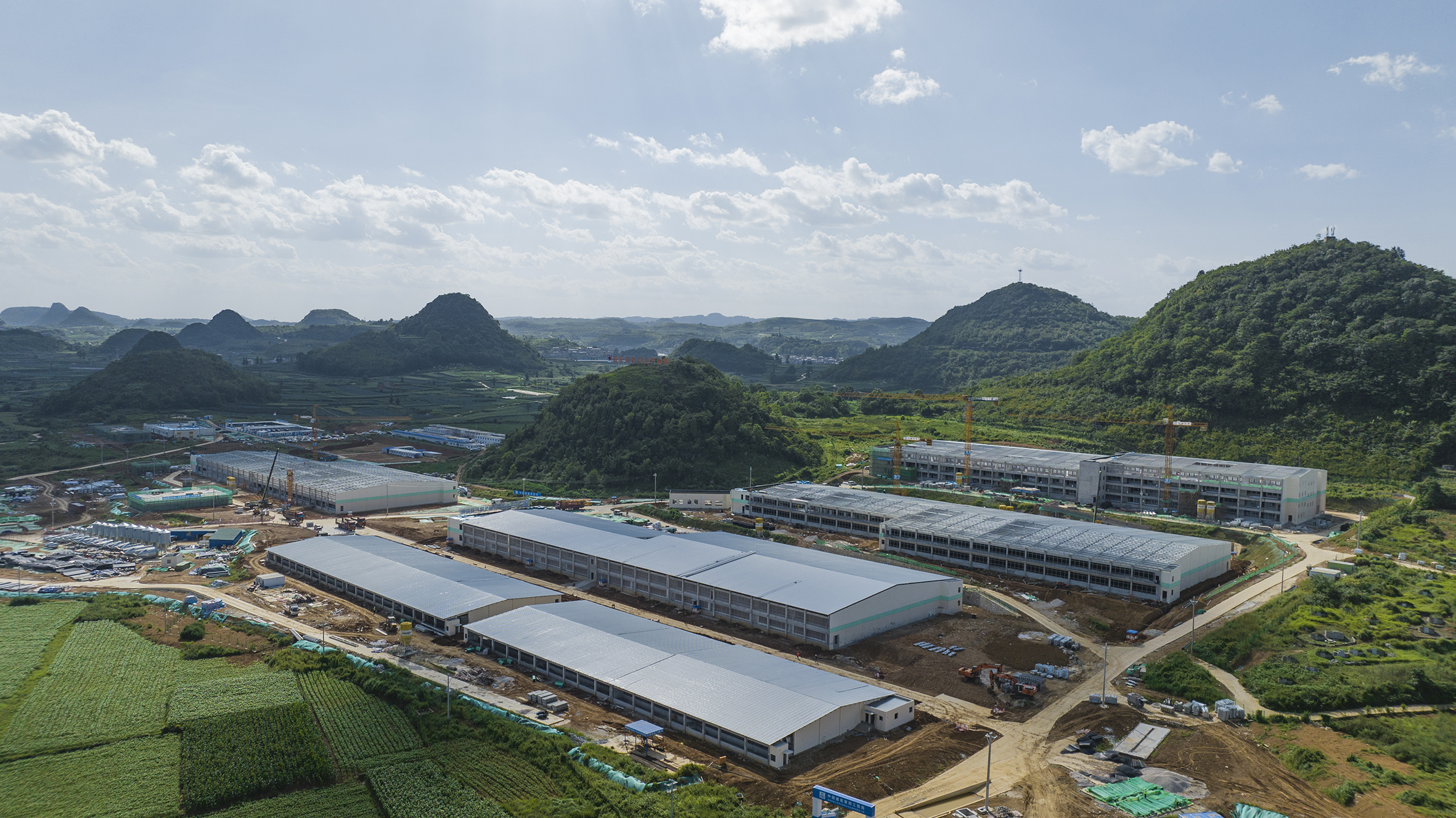 贵州安顺越秀猪场项目