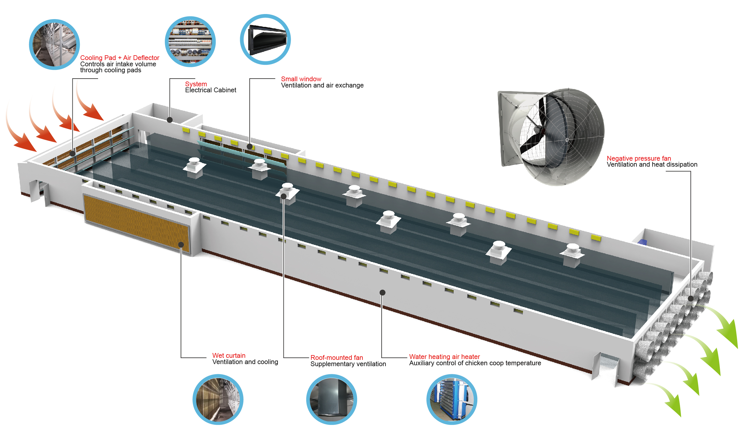 Egg-Laying Hen Management Syst