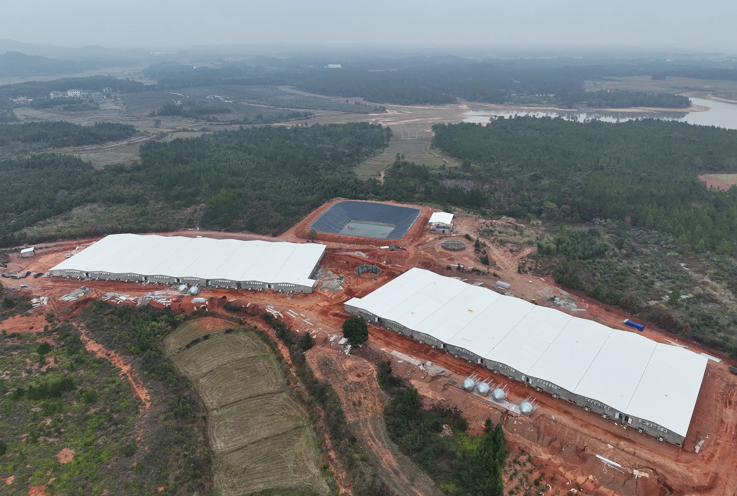Fengxin Fengzhang Livestock Pig Breeding Project