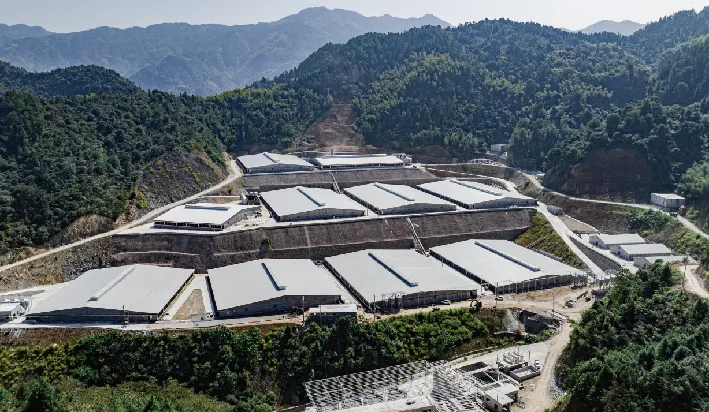 Zengxin leverages technology