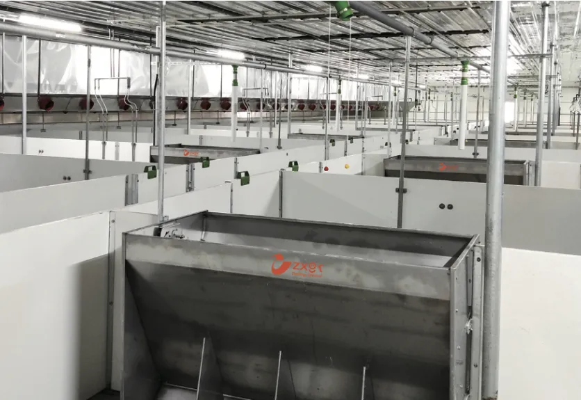 Stainless Steel Feeder